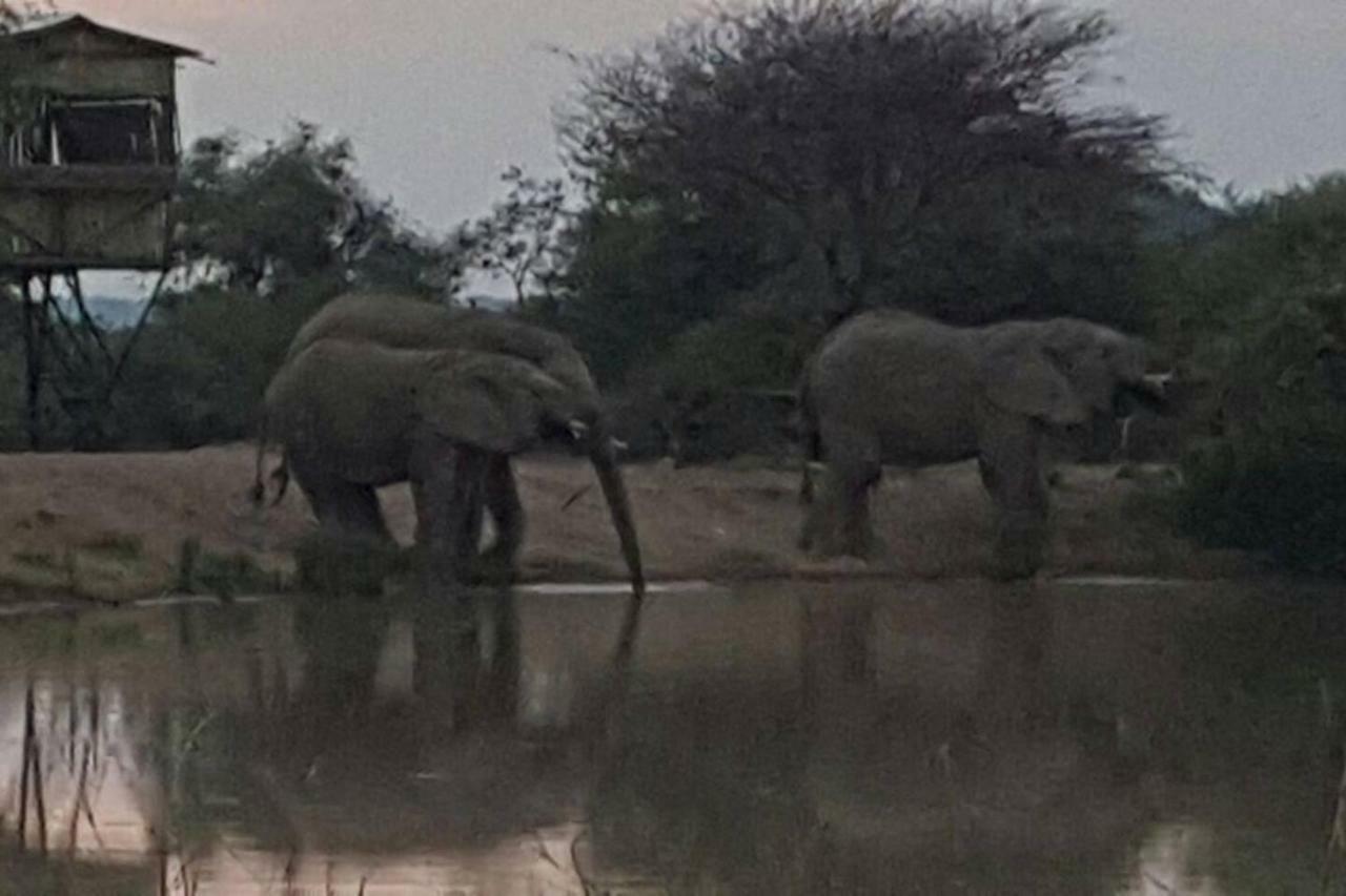 Kubu Khaya Mabalingwe Villa Mabula Game Reserve Buitenkant foto