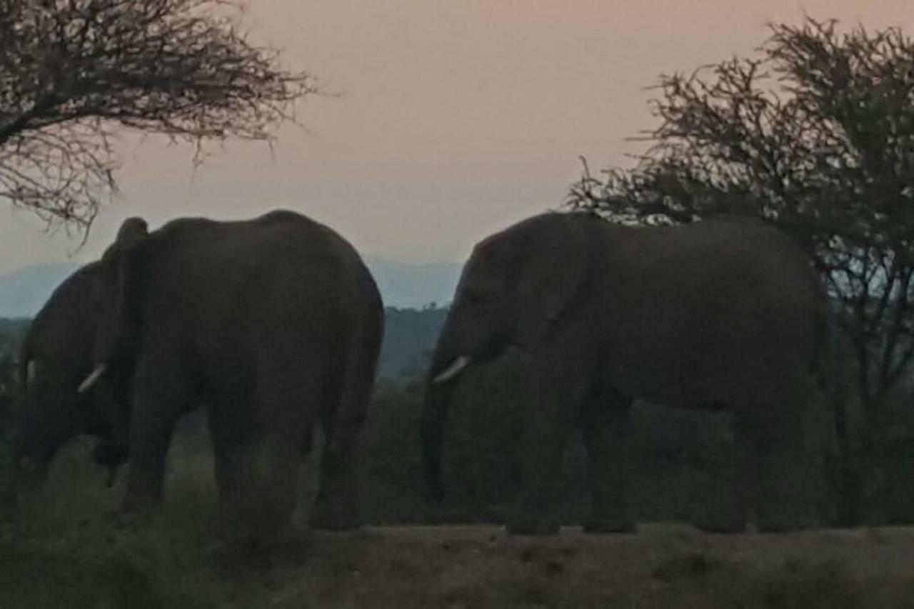Kubu Khaya Mabalingwe Villa Mabula Game Reserve Buitenkant foto